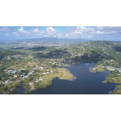 Les zones humides de Martinique
